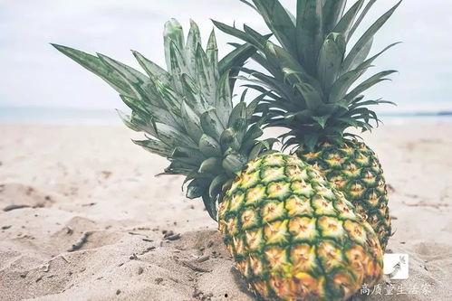 菠萝头娱乐吃瓜