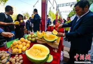 临清最新吃瓜新闻,真相竟如此惊人!