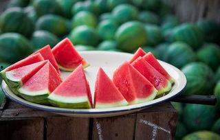 药物吃瓜,探寻健康饮食新风尚