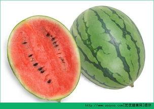 吃毛瓜过敏,探寻过敏源与应对策略