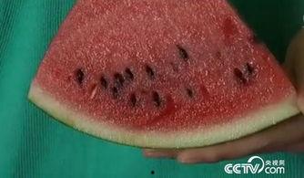 吃瓜吃瓜籽,探寻吃瓜乐趣背后的奥秘
