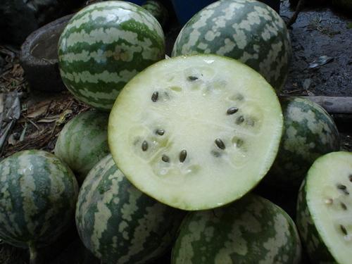 瓜怎么样吃,探索各式瓜类美味吃法