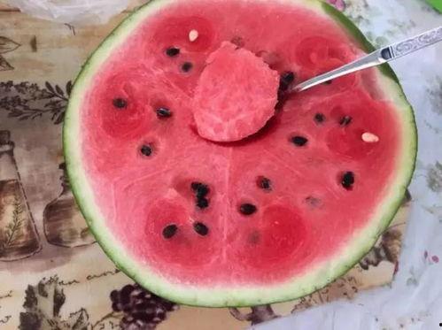 可以吃瓜但不能真菜,揭秘健康生活的趣味之道