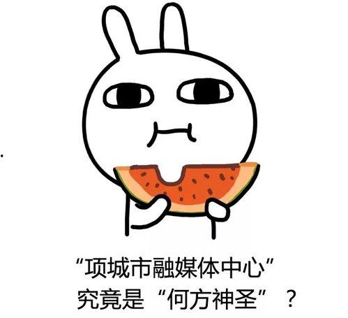 吃瓜王霖,揭秘娱乐圈幕后故事