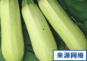 怀孕吃整个白瓜,白瓜营养全解析，助力母婴健康